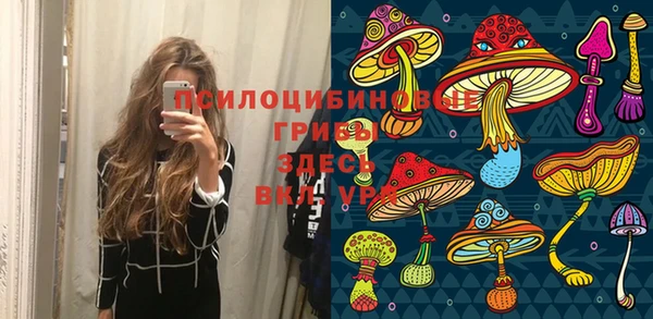 каннабис Аркадак